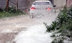 Erciş'te Polen Yangınları Korkuttu