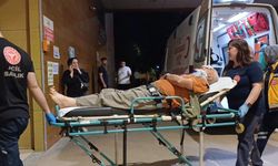 Erik Toplarken Ağaçtan Düştü
