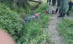 Hekimhan'da Eşekten Düşen Yaşlı Adam Hayatını Kaybetti