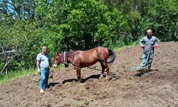 Hizan'da Geleneksel Tarım Sürüyor
