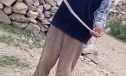 Iğdır'da Eve Girmeye Çalışan Yılan Kurtarıldı! Doğaya Bırakıldı
