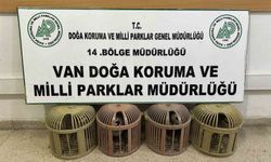 Kaçak Keklik Avına Ağır Ceza