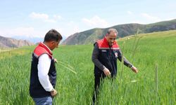 Kars'ta Tarımsal Üretim Yakından Takip Ediliyor