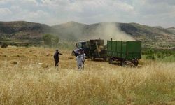 Mercimek Hasadını Oyun Havalarıyla Kutladılar