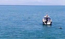 Otomobil Van Gölü'ne Uçtu: Sürücü Yaralandı