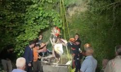 Su Kuyusuna Düşen İnek Saatler Sonra Kurtarıldı