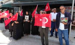 Van'da evlat nöbeti 120'nci haftasında kararlılıkla sürüyor