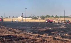 Viranşehir'de Buğday Tarlası Küle Döndü