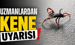 Uzmanlardan Kene Uyarısı: Çıplak Elle Dokunmayın