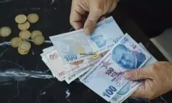 Vatandaşlık maaşı geldi mi? Vatandaşlık maaşı ne kadar, kimlere verilir?