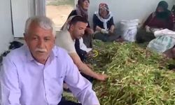 Bitlis'te "Jağ" mesaisi sürüyor
