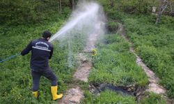 Bitlis Belediyesi Yaz Öncesi Haşereyle Mücadeleyi Hızlandırdı