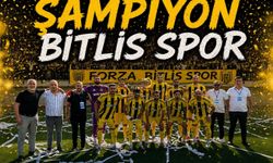 Bitlis Spor 3.Lig'de