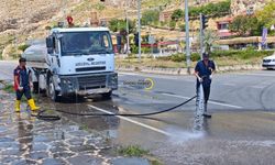 Adilcevaz Sahilinde Temizlik Seferberliği
