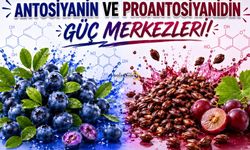 Mavi ve Morun Gücü: Gözlerden Hücrelere Uzanan Doğal Koruma Kalkanı!