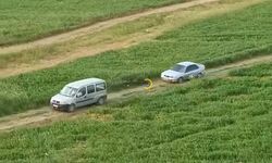 Bitlis Tatvan Yolunda Pes Dedirten Manzara!