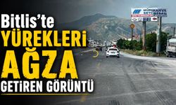 Bitliste Yürekleri Ağza Getiren Görüntü!