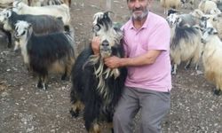 Artvin'de Kayıp Baba ve Oğlundan Acı Haber