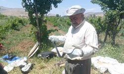 Bahçeye Giren Yılanı Doğaya Geri Bıraktı