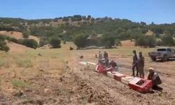 Elazığ'da Keneyle Mücadele İçin 300 Keklik Doğaya Salındı