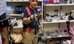 Hatay'da Yerleşim Yerlerine Giren Yılanlar Kurtarıldı