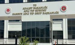 Ihlamur Toplarken Ağaçtan Düşen Adam Hayatını Kaybetti