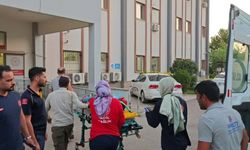 Kahta'da Kamyonet Devrildi: 6 Yaralı