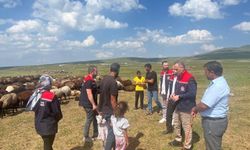 Kars Yaylalarında Hayvan Sağlığı Seferberliği