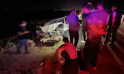 Koyun Sürüsüne Çarpan Otomobilde 3 Yaralı