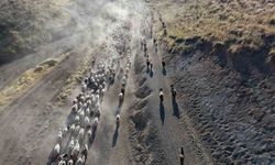 Nemrut Eteklerinde Tozlu Yolculuk Başladı