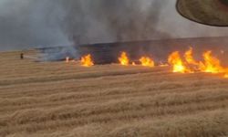 Silvan'da 5 Bin Dönümlük Alanda Yangın