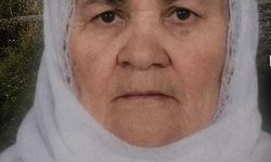 Tatvan'da Trenin Çarptığı Kadın Hayatını Kaybetti