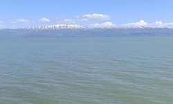 Van Gölü'nde Yüzmek Yasak !