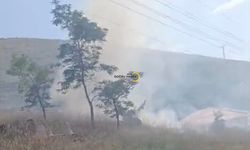 Bitlis'te Mezarlıkta Çıkan Yangın Korkuttu
