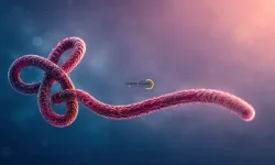 Ebola Virüsüne Karşı Kritik Uyarı