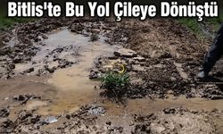 Bitlis'te Bu Yol Çileye Dönüştü