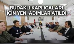 Budaklı Kaplıcası ve İron Sazlığı İçin Yeni Adımlar