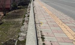 Bitlis'te O Bölge İçin Acil Önlem Talebi