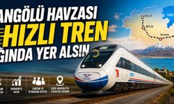 Vangölü Aktivistlerinden Hızlı Tren Çağrısı: "Van Gölü Havzası Yüksek Hızlı Demir Yolu Ağına Dahil Edilmeli"