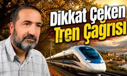 Bitlis İçin Dikkat Çeken Tren Çağrısı