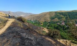 Bitlis'te Korkutan Yangın!
