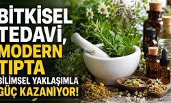 Bitkisel Tedavide Yeni Dönem!