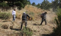 Bitlis'te Mezarlıklarda Bakım ve Temizlik Çalışmaları Aralıksız Sürüyor