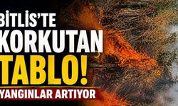 Bitlis'te Korkutan Tablo! Geriye Büyük Tahribat Kaldı