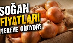 Bitlis'te Soğan Ateş Pahası!