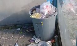Bitlis'te Herkes Aynı Soruyu Soruyor: Bu Durum Neden Düzelmiyor?