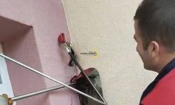 Bitlis’te Eve Giren Yılan Paniğe Neden Oldu