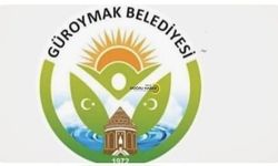 Güroymak'ta Şok İddia: Köpekler Dışarıdan mı Getiriliyor?