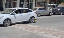 Bitlis'te Bu Kasisler Tepki Çekiyor!