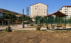 Bitlis'in Vitrini Bakımsızlığa Teslim Oldu!